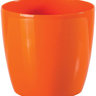 Saksija Stars 20 narandžasta