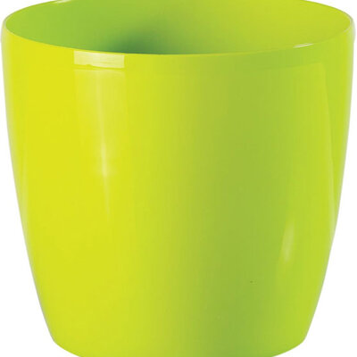 Saksija Stars 20 svetlo zelena