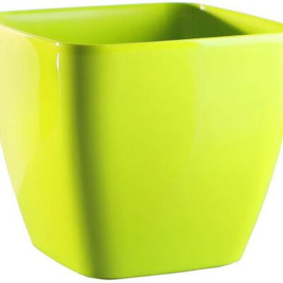 Saksija Queens 20x20 svetlo zelena