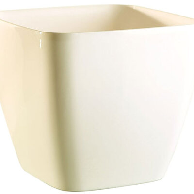 Saksija Queens 20x20 krem