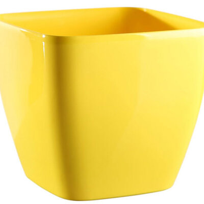 Saksija Queens 16x16 žuta