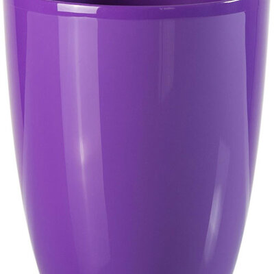 Saksija Orhid 15 ljubičasta