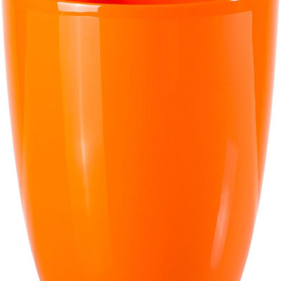 Saksija Orhid 15 narandžasta