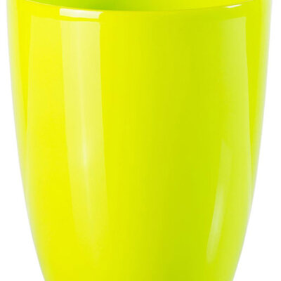 Saksija Orhid 15 svetlo zelena