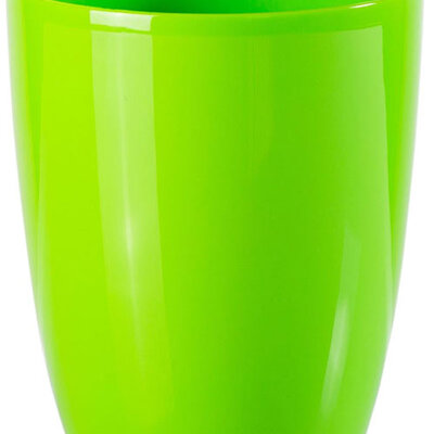 Saksija Orhid 15 zelena