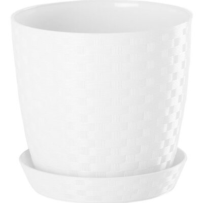 Saksija Stars ratan 20 bela