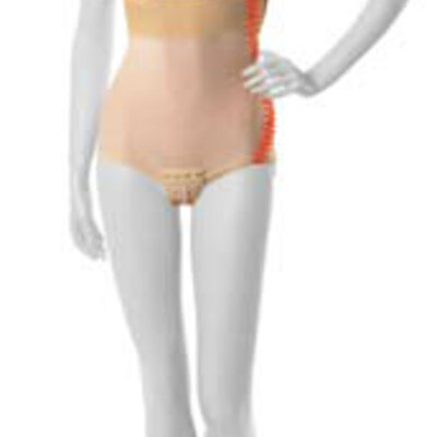 Abdominalni steznik za žene LGA veličina L