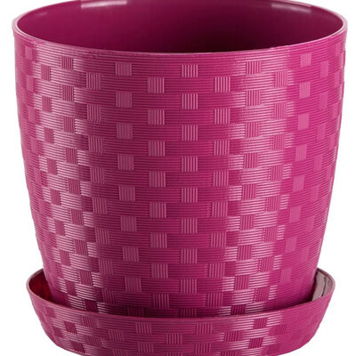 Saksija Stars ratan 25 roze