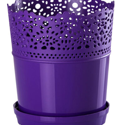 Saksija Dentelle 16 ljubičasta