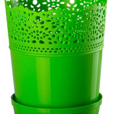 Saksija Dentelle 16 zelena