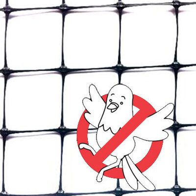 Zaštita od golubova Mreža protiv ptica T2 2x10m