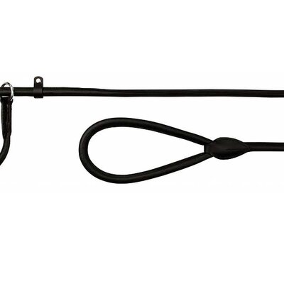 Povodac od kože sa davilicom L-XL Trixie Activ 16351