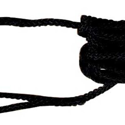 Trixie Povodac za trening Tracking 10m 19761