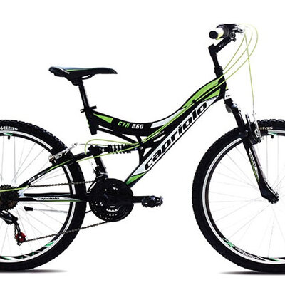 Bicikl Capriolo CTX 260 917351-16