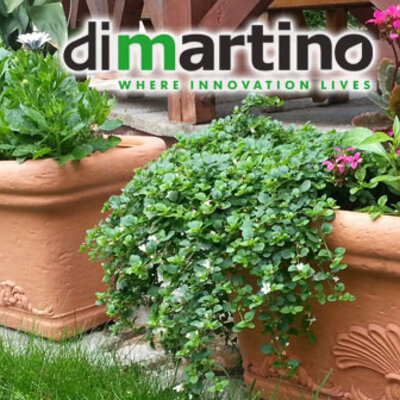 Žardinjera DiMartino 92 x 45 x 39.5 cm