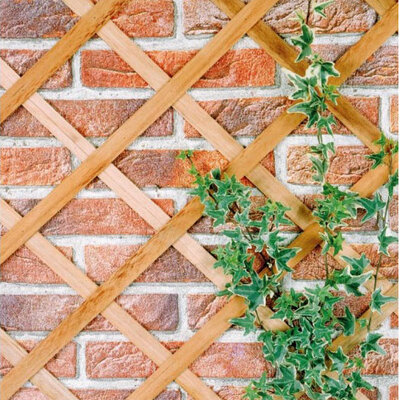 Rešetka, Merdevine Za Puzavice 180 x 60 cm