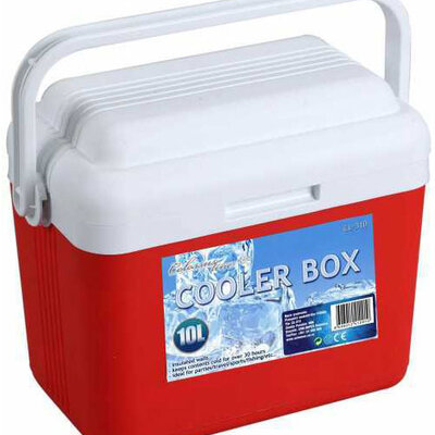 Ručni frižider Cooler Box CL-310