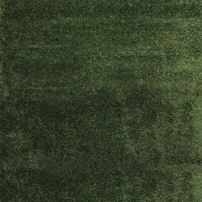 Tepih Ekol Vegas 8216 BY D. Green 80x150 cm