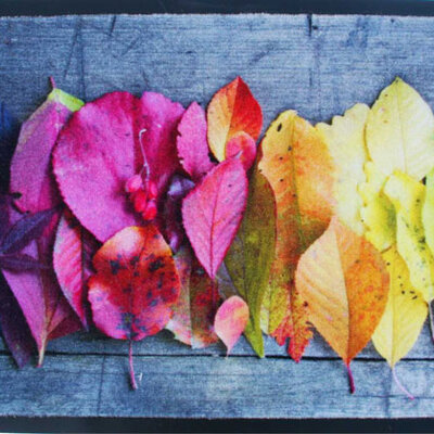 Ekol otirač Charleston 5 40x60