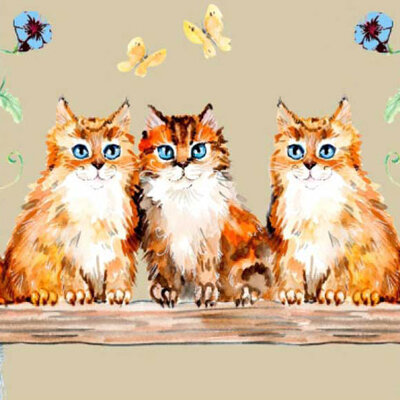 Ekol otirač Candy 14 Animal Mačke 40x70