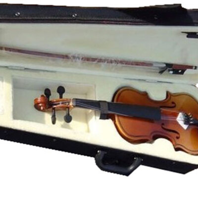 Violina Moller 4/4 15