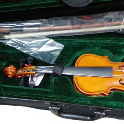 Violina Moller 1/16 587