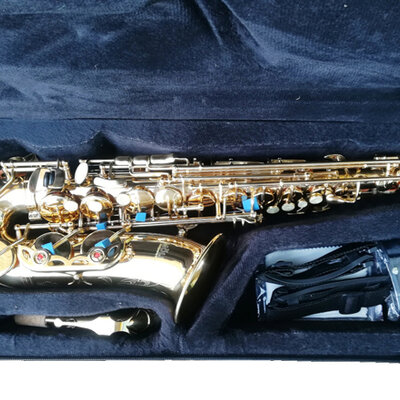 Moller Alt Saksofon OP.M. AL-802L Gold 409