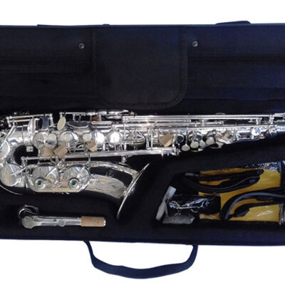 Moller Alt Saksofon OP.M. AL-802L Silver 410