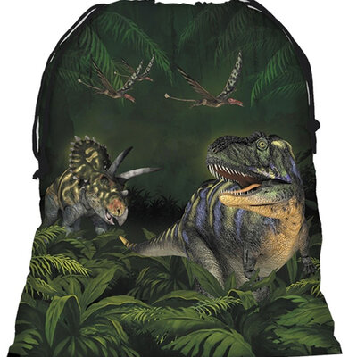 Torba za patike Dinosaurs WODN11
