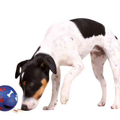 Igračka za pse - Lopta 11cm sa otvorom za poslastice Trixie 3490