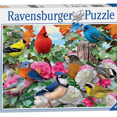 Ravensburger Slagalica 500 delova - Garden Birds 14223