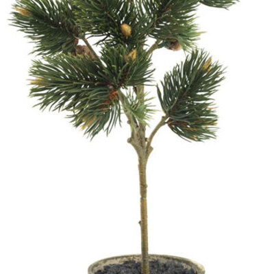 Veštačka biljka Bor 40cm