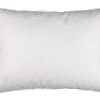 Perjani jastuk 750g Asta 50x70