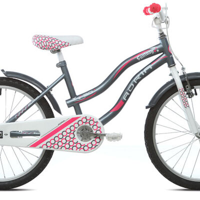 Dečiji bicikl Adria 20 HT 1107 sivo-pink 912141-20