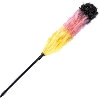 Pajalica za prašinu 58cm 3949100