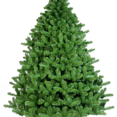 Norway Spruce Jelka 180 cm