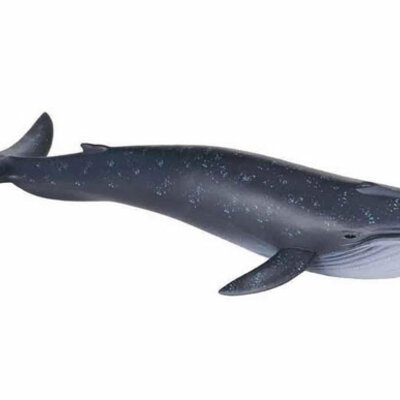 Collecta Divlje Životinje Plavi Kit CT88044