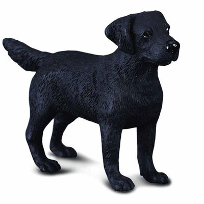 Collecta Domaće Životinje Labrador Retriver CT88076
