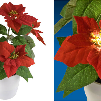 Božićna Zvezda Sa LED Sijalicama Visine 35 cm