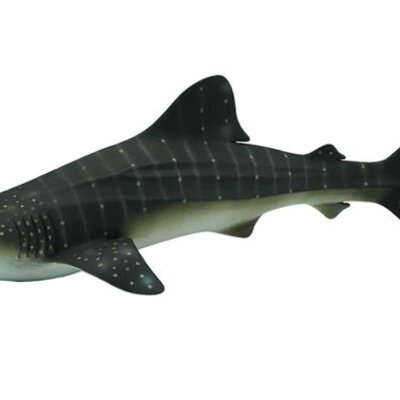 Collecta Divlje Životinje Ajkula CT88453