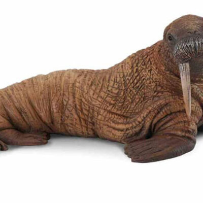 Collecta Divlje Životinje Morž CT88569