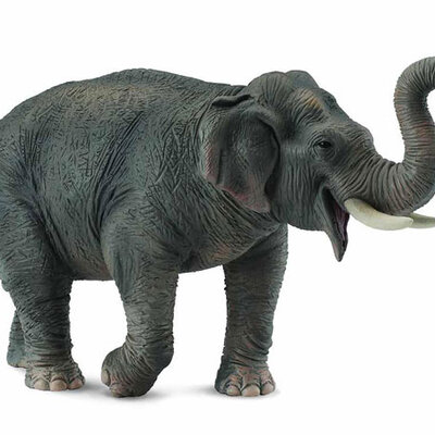 Collecta Divlje Životinje Azijski Slon CT88486