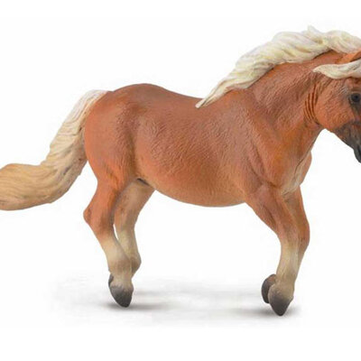 Collecta Domaće Životinje Shetland Pony, Pastuv CT88605