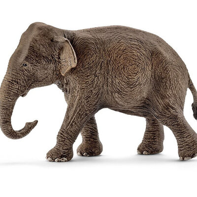 Schleich Figurice Divlje životinje - Azijski slon - ženka -14753