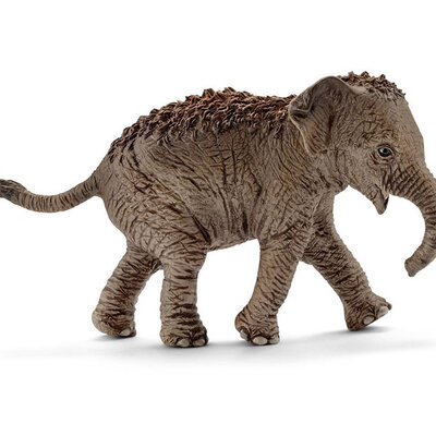 Schleich Figurice Divlje životinje - Azijski slon - mladunče 14755