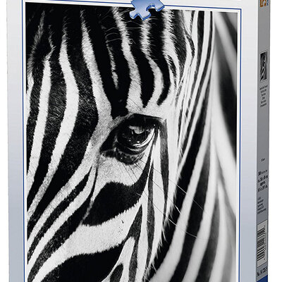 Ravensburger puzzle Životinje - Zebra - Face To Face 500 delova RA14735