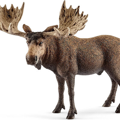 Schleich Figure Divlje životinje - Los - mužjak 14781