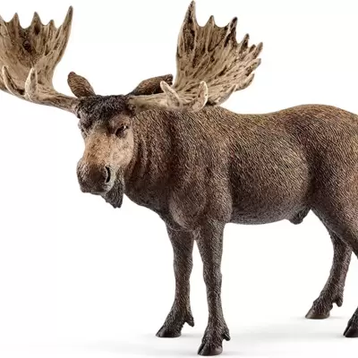 Schleich Figure Divlje životinje - Los - mužjak 14781