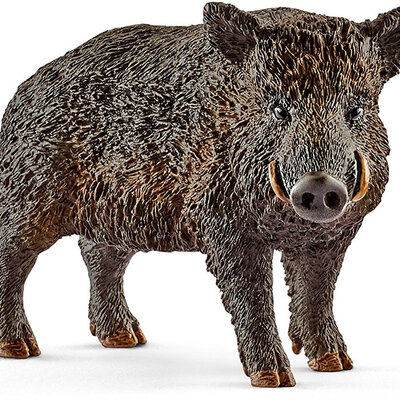 Schleich Figure Divlje životinje - Divlja svinja 14783