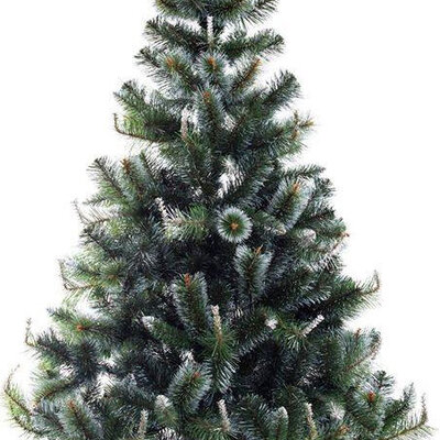 Novogodišnja Jelka Sa Belim Vrhovima Ostfold 250 cm